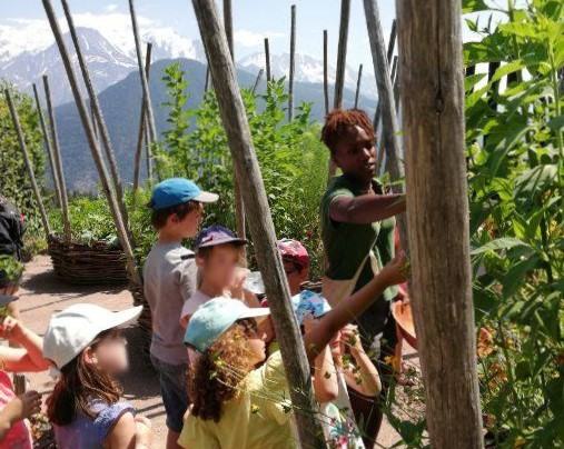 Visite guidée au Jardin des Cimes par Agnès Seauve, à Passy, près de Chamonix Mont-Blanc, Haute Savoie