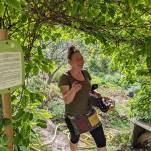 Vente directe des légumes de Sarah le mardi 29 août et le mercredi  6 septembre