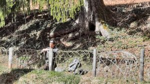 Offre de stage (H/F) : Aménagement des jardins