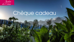 Chèque cadeau 2026!