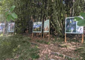 Exposition photographique de Yannick Lenoir au Jardin des Cimes