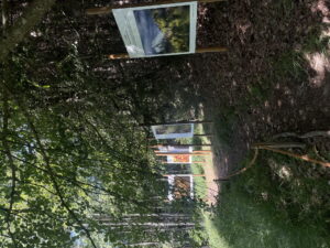 Exposition photographique de Yannick Lenoir au Jardin des Cimes