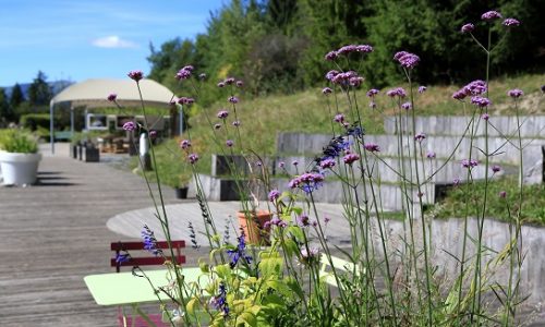 Terrasse du Jardin des Cimes, Passy Mont-Blanc, jardin Haute Savoie